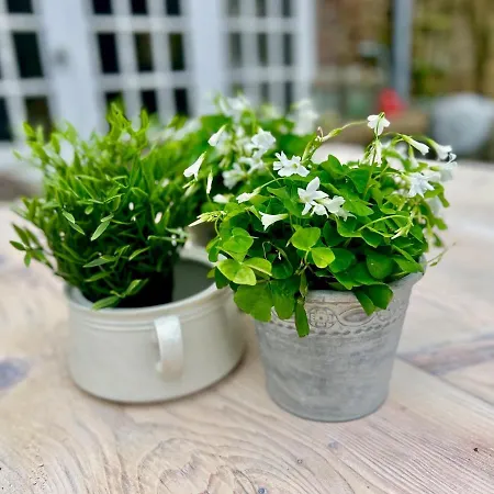 Σπίτι διακοπών 